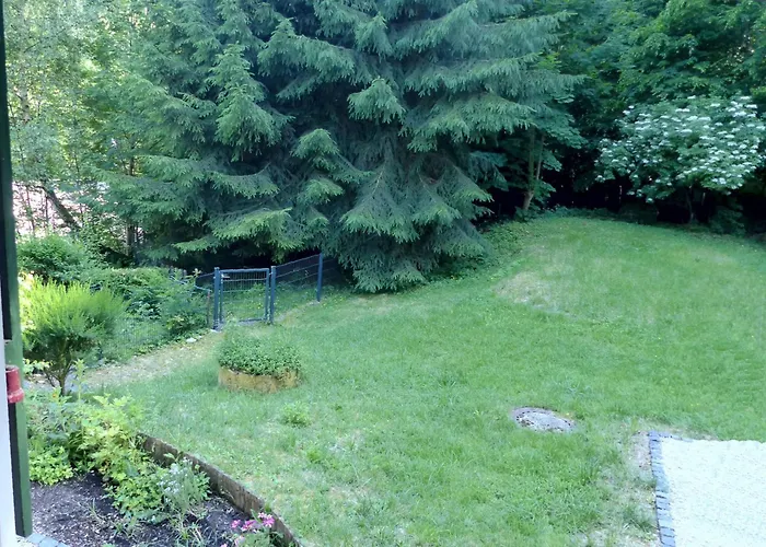 Waldhaus Staufenbergblick in Zorge Ferienhaus *